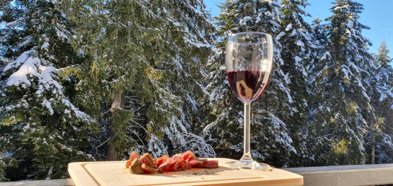 Fox Boutique Apartment Borovets Gardens Eksteriør billede