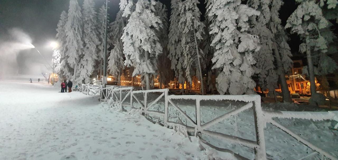 Fox Boutique Apartment Borovets Gardens Eksteriør billede