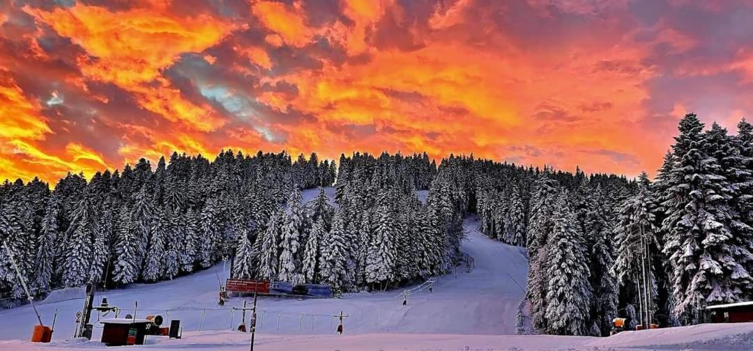 Fox Boutique Apartment Borovets Gardens Eksteriør billede