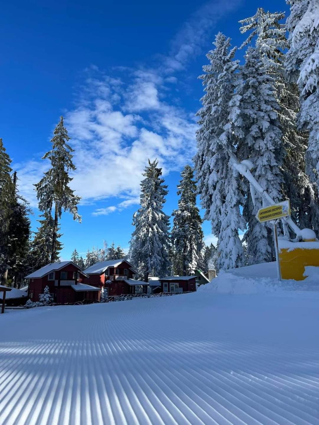 Fox Boutique Apartment Borovets Gardens Eksteriør billede